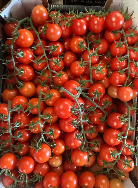 Unbehandelte Ciliegino-Tomate