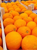 Kiste unbehandelte Orangen "Washington Navel"
