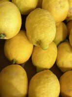 Kiste unbehandelte Zitronen "Liscione"