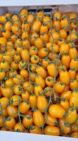 Unbehandelte Datterino-Tomate, gelb